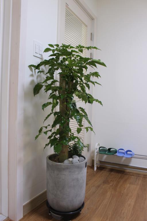 My Stay 全州市 部屋 写真